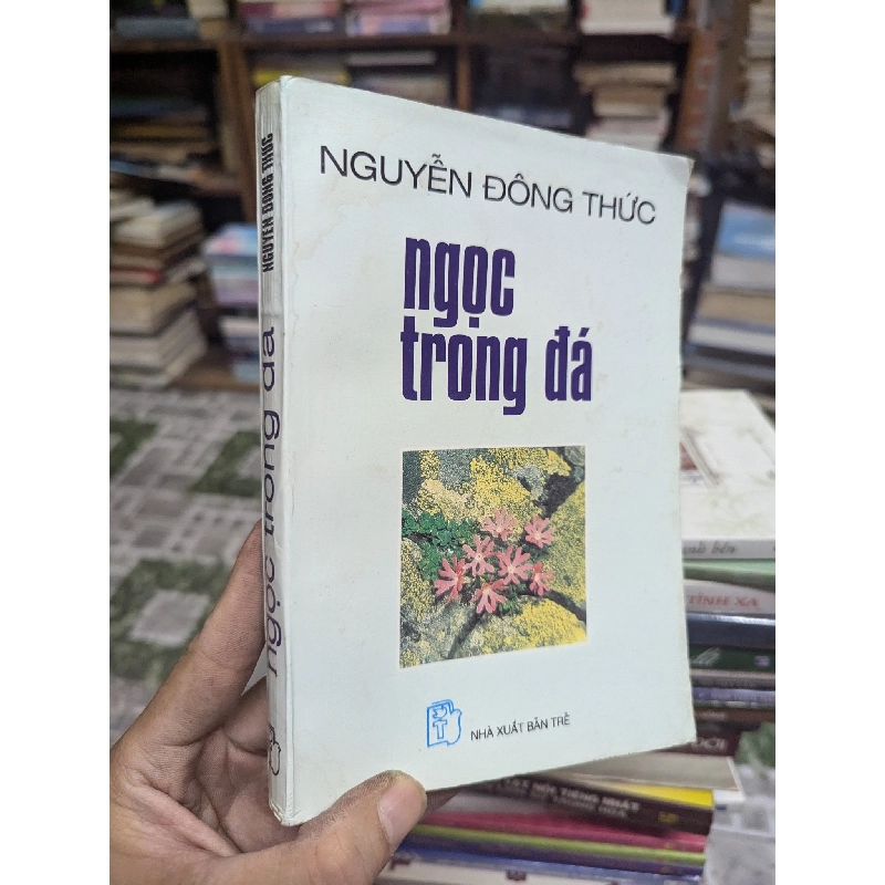 Ngọc trong đá - Nguyễn Đông Thức 175224