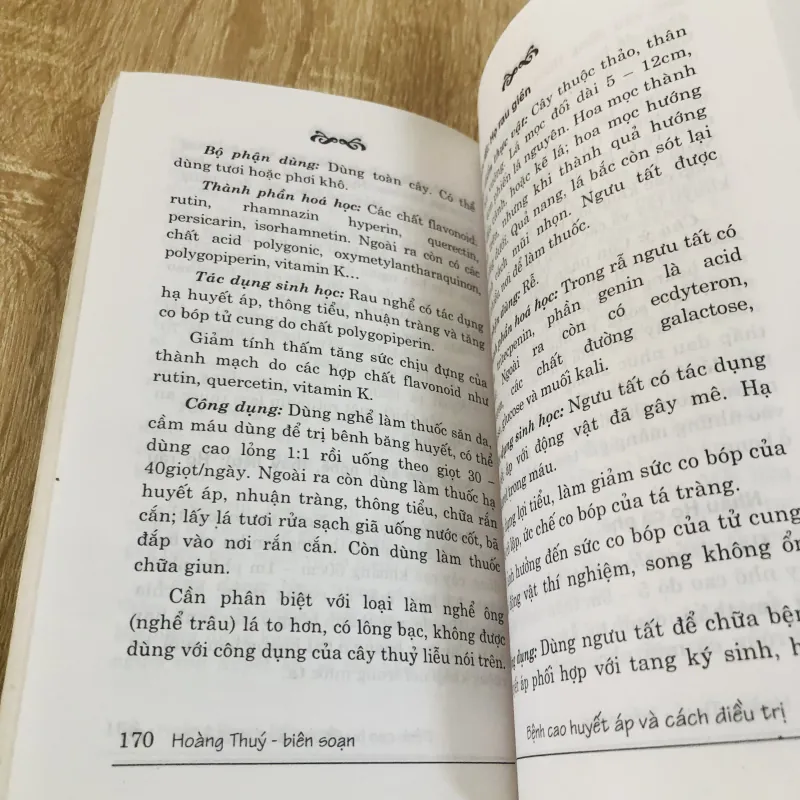 BỆNH CAO HUYẾT ÁP & CÁCH ĐIỀU TRỊ  968639