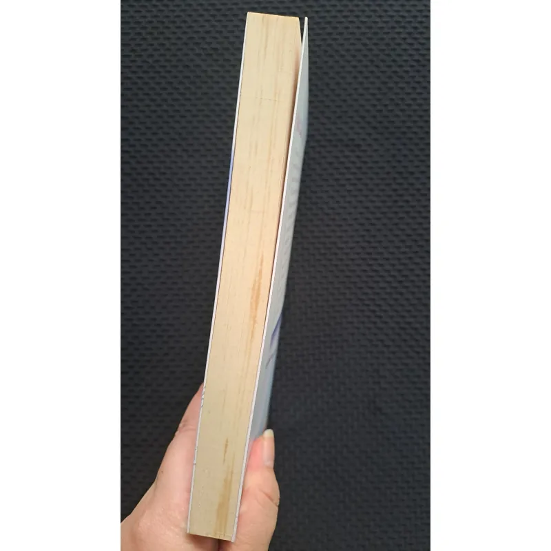 Tâm Can - Sói xám mọc cánh 1019667