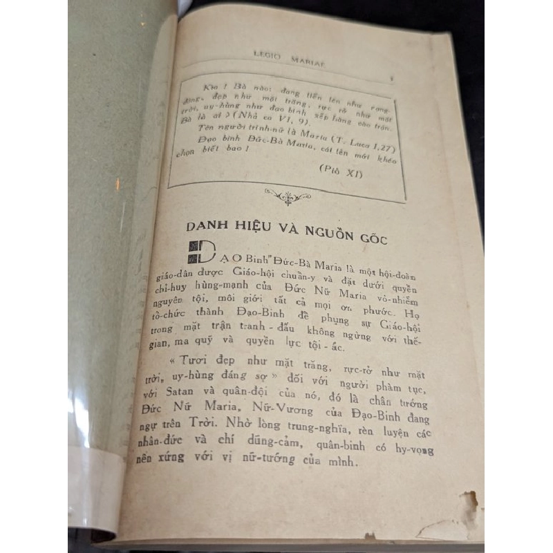Đạo binh đức mẹ 449278