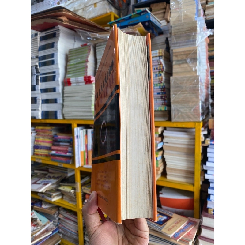 Ta là cái đó - Đạo sư Sri Nisargadatta Maharaj 1026910