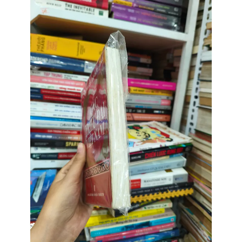 Các Triều Đại Việt Nam 🌱 698173