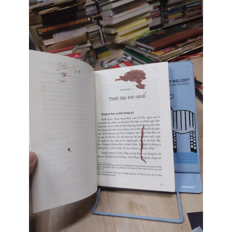 Sách: Hơn cả hạnh phúc - TG: Antonia Macaro (B1) 781893