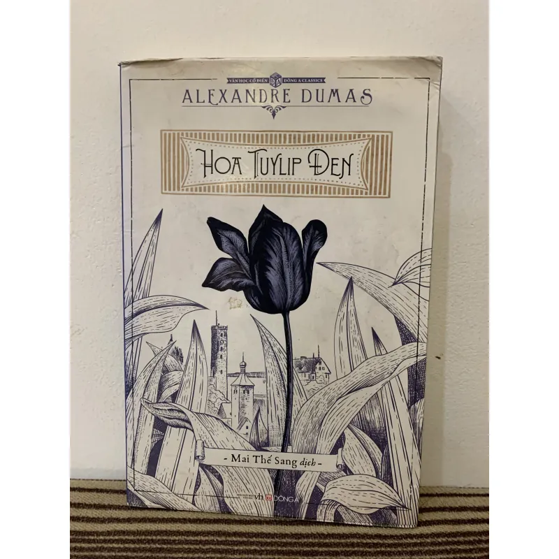 Hoa tuylip đen 1011435