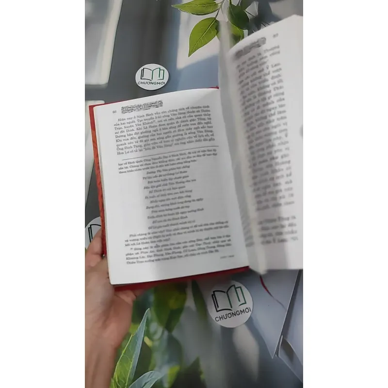 Chuyện Tình Vua Chúa Hoàng Tộc Việt Nam - Đinh Công Vĩ 990453