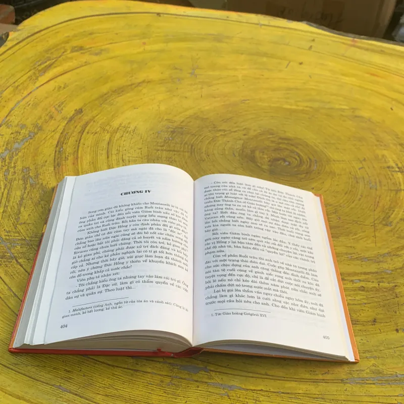 RUỒI TRÂU- ETHEL L. VOYNICH bìa cứng 783355