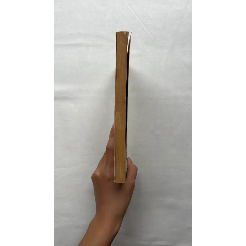 The Great Fire of London - Peter Ackroyd  795398