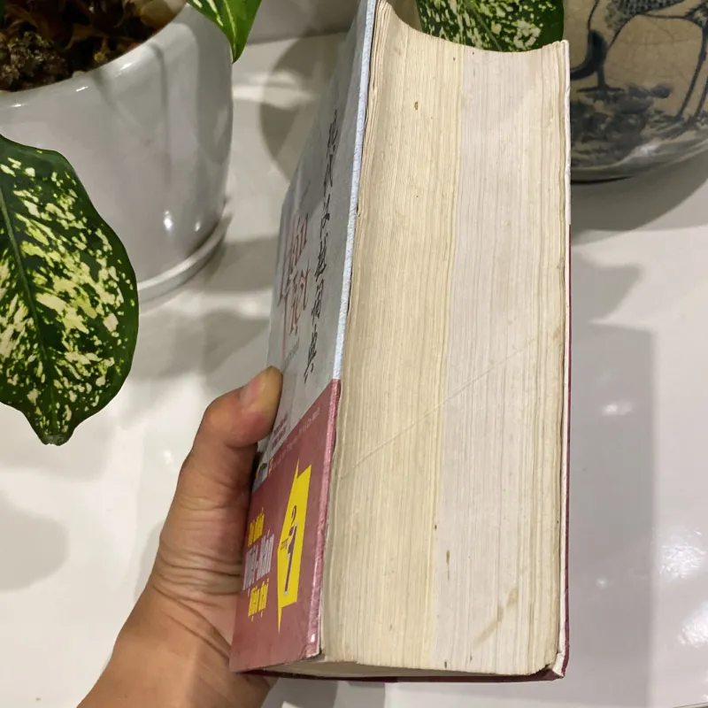 TỪ ĐIỂN VIỆT - HÁN, HÁN - VIỆT HIỆN ĐẠI, 2 TRONG 1 (XB 2007) 974521