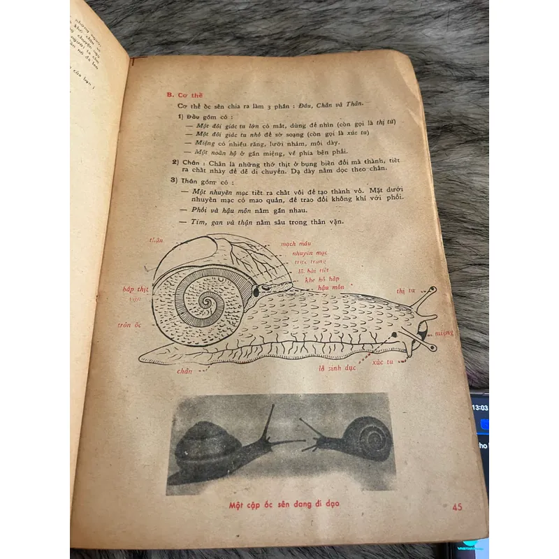 Vạn vật Học  lop 7. (Sách in năm 1971) 571226