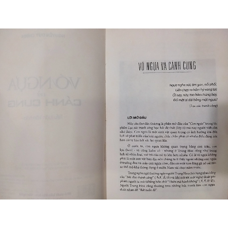 Vó ngựa và cánh cung - Nguyễn Duy Chính 601084