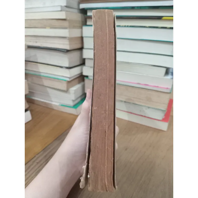 Les neiges du Kilimandjaro - Ernest Hemingway 604325