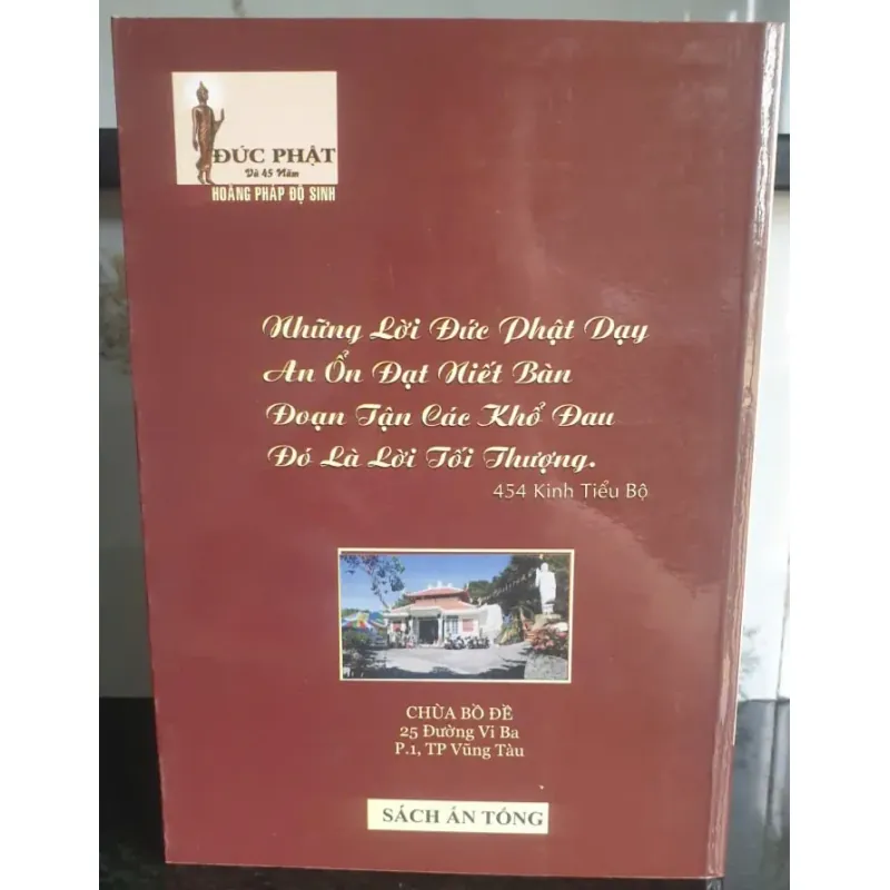 Đức Phật Và 45 Năm Hoàng Pháp Độ Sinh - Tập 10 756662