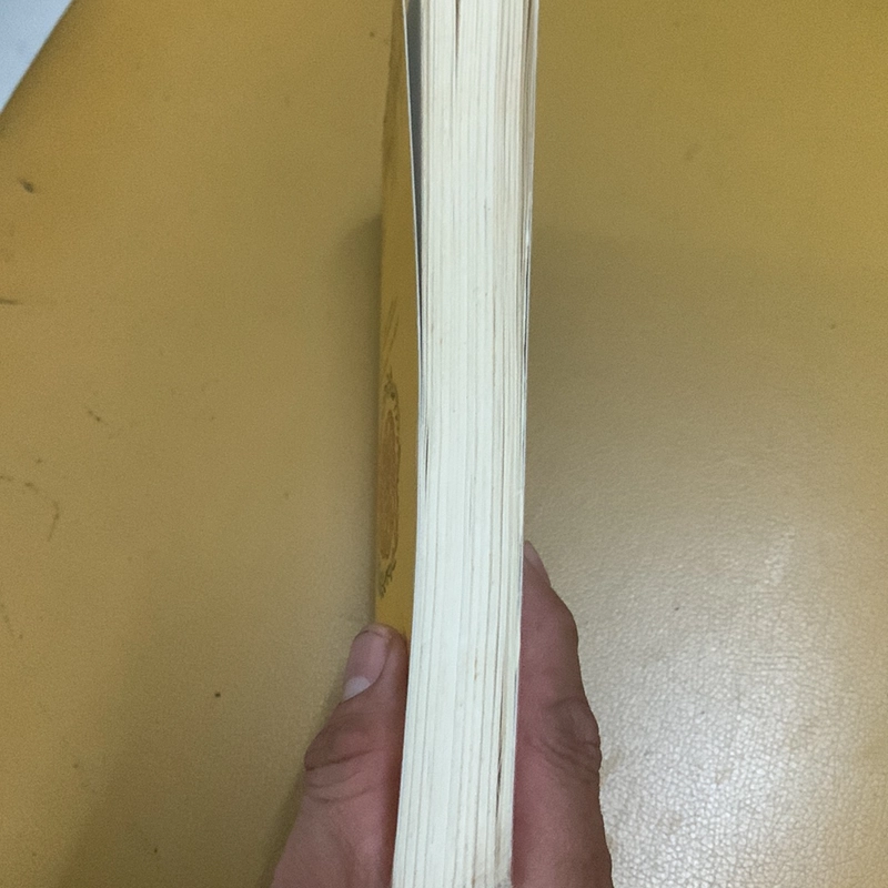 Chính đề việt nam - nxb vô danh 308872