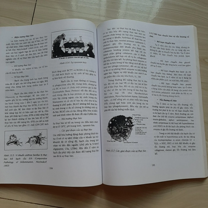 Cuốn photo MIẾN DỊCH - SINH LÝ BỆNH 325847