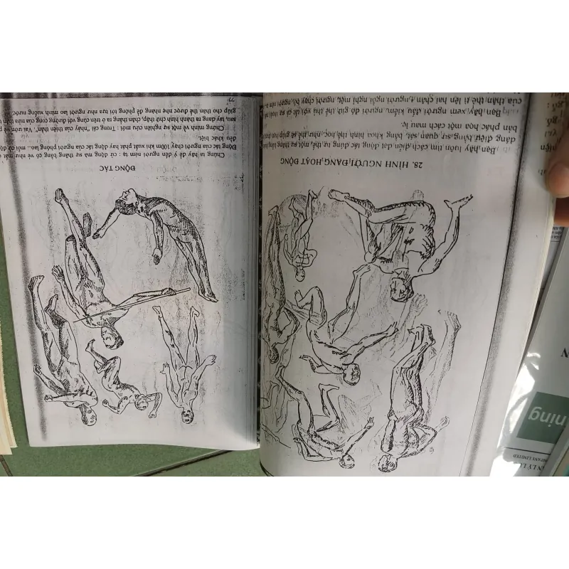 [Vẽ cơ bản] phác họa 1023206