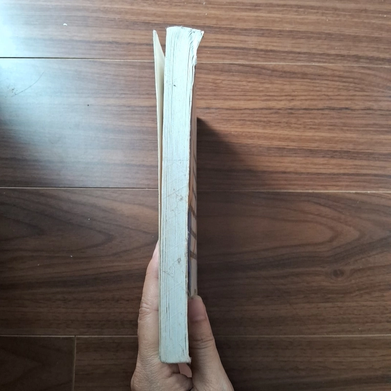Bạn có thể ỷowr thành bậc thầy teong kinh doamh theo mạng 531679