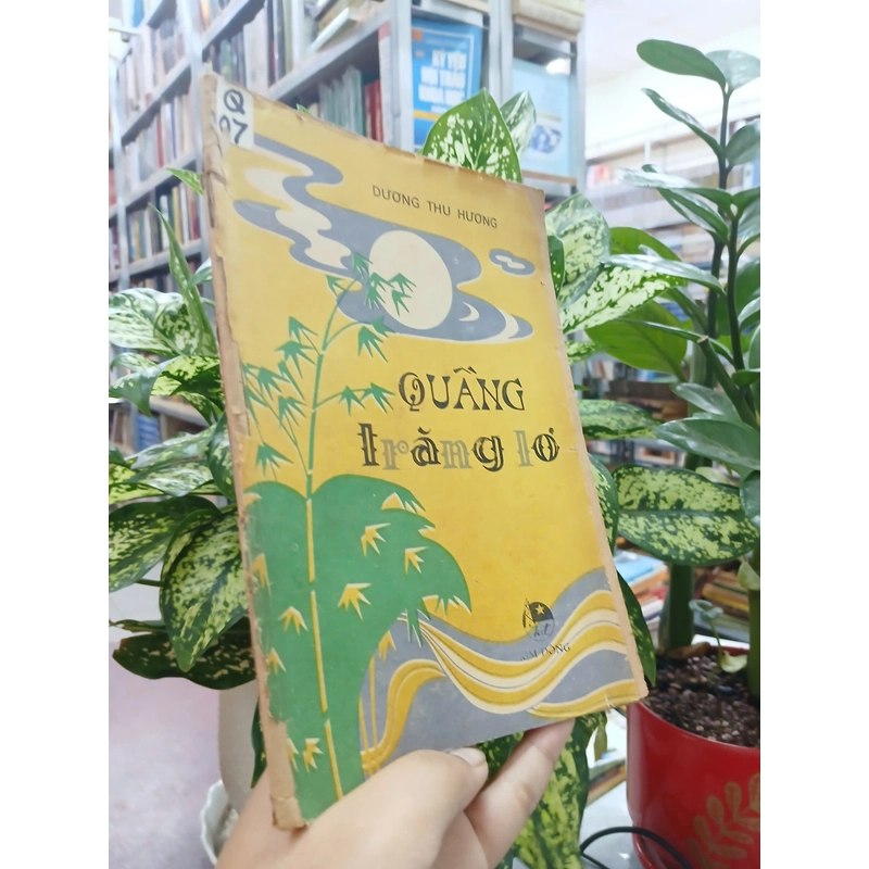 QUẦNG TRĂNG LƠ 548522