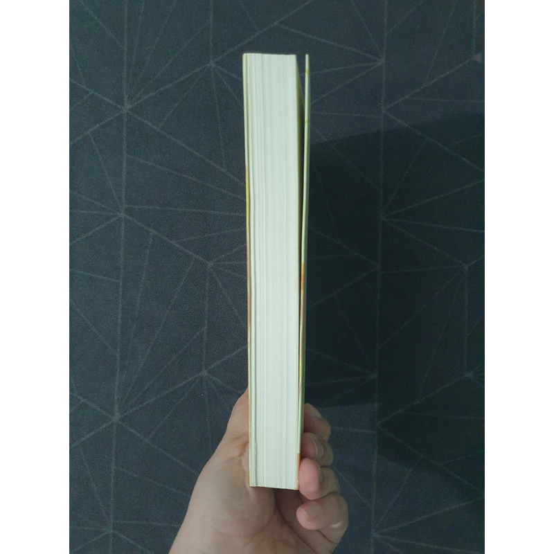 "Vì em gặp anh" - Lo Lo 492792