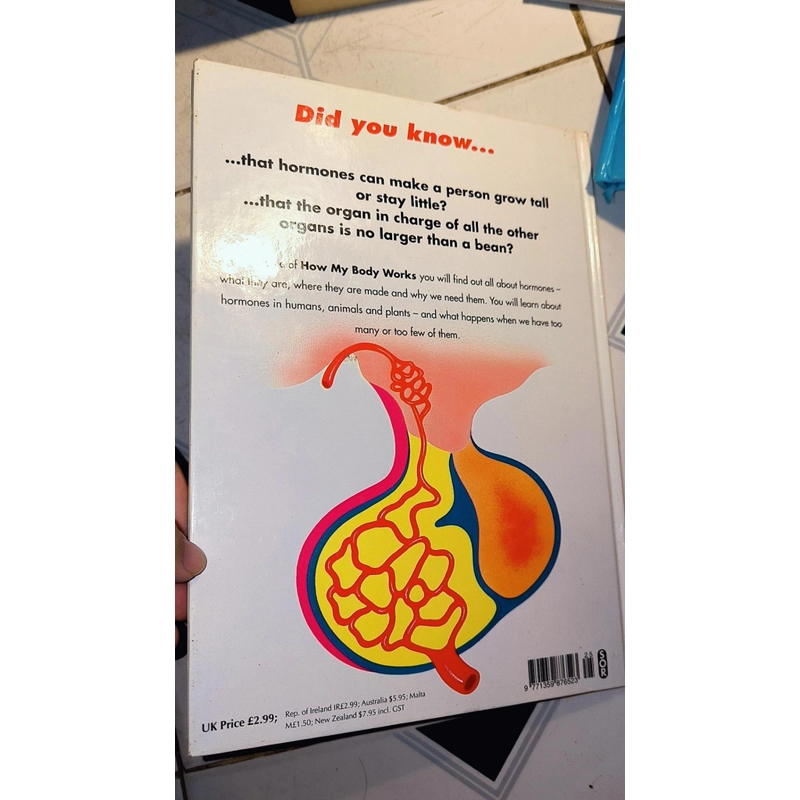 Sách tiếng Anh cho trẻ tìm hiểu về hormones - series How my body works 501693