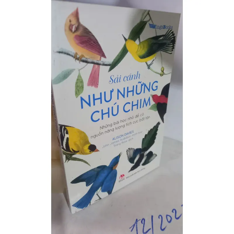sải cánh như những chú chim 732106