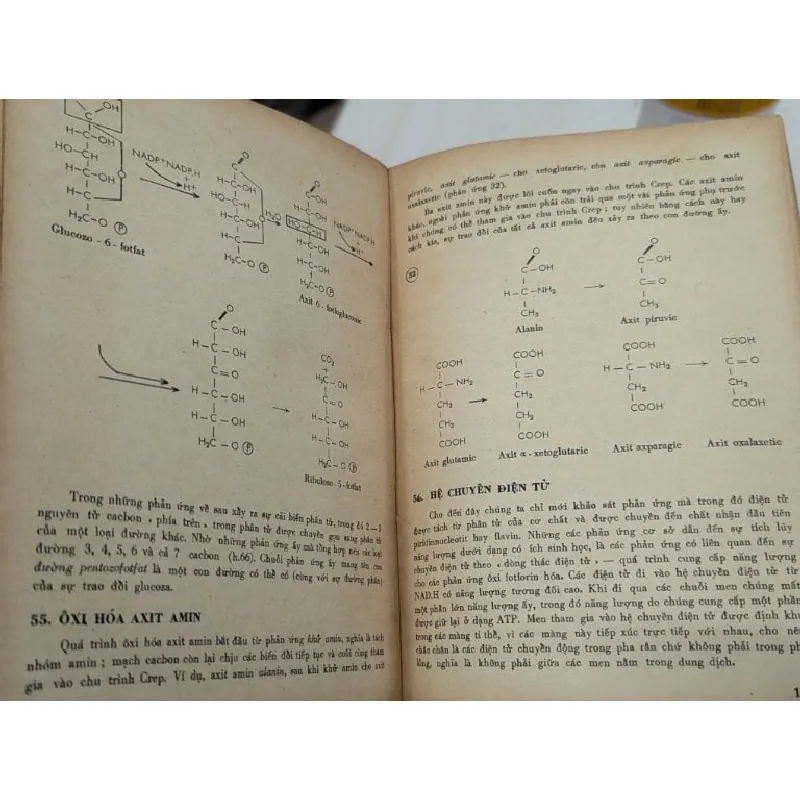 Các nguyên lý và quá trình sinh học - C.Vili & V.Đêthiơ 701852