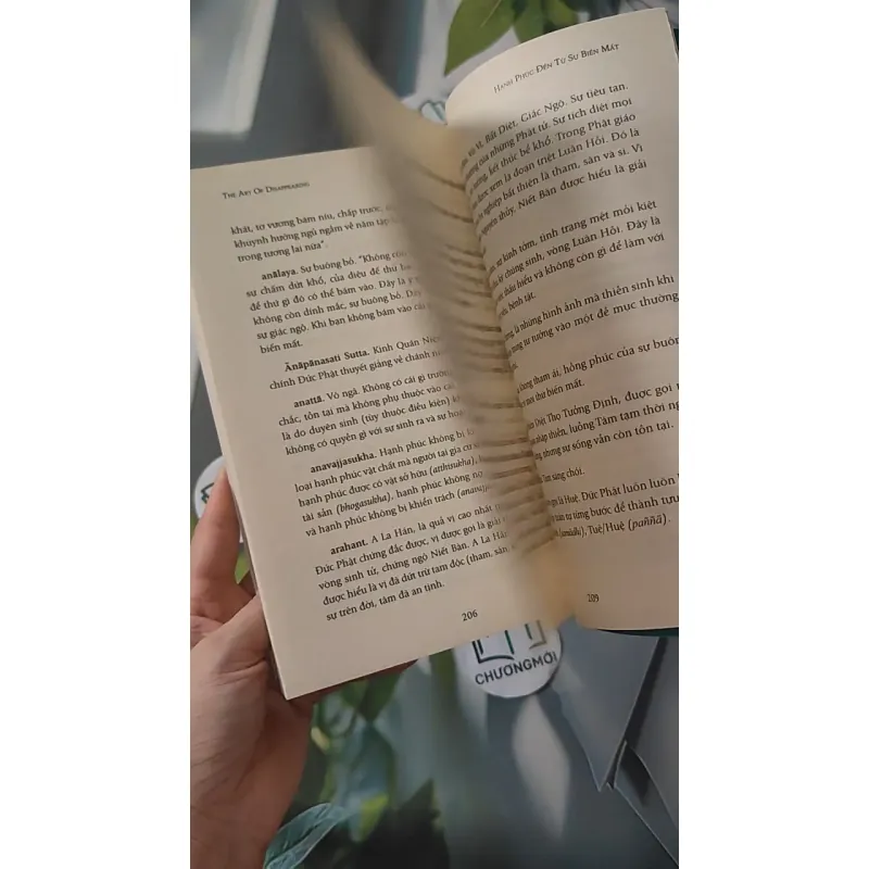 Hạnh Phúc Đến Từ Sự Biến Mất - Ajahn Brahm 961190