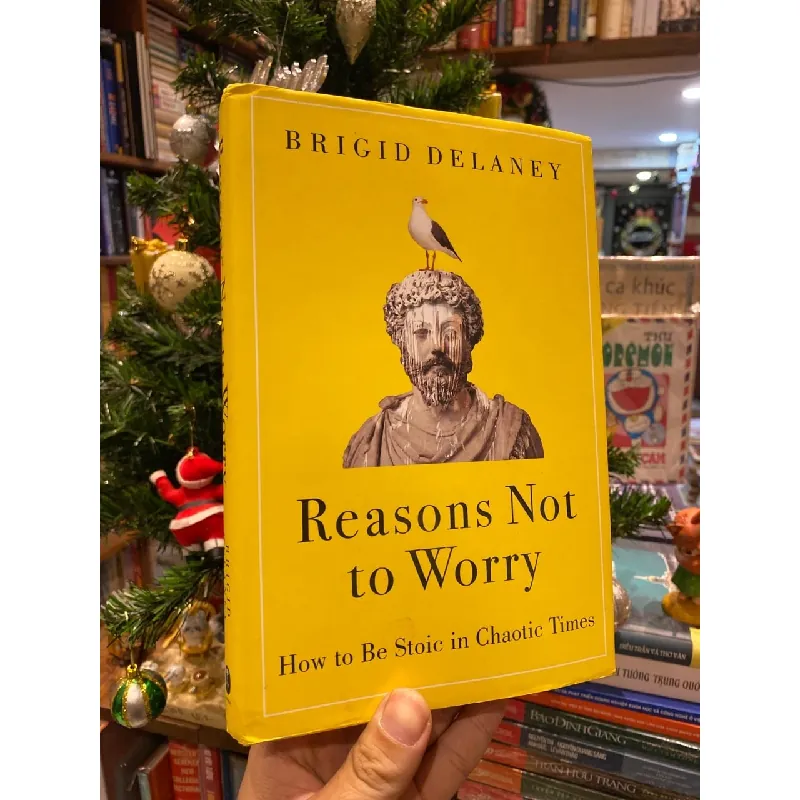 Reasons Not to Worry - Brigid Delaney 723392
