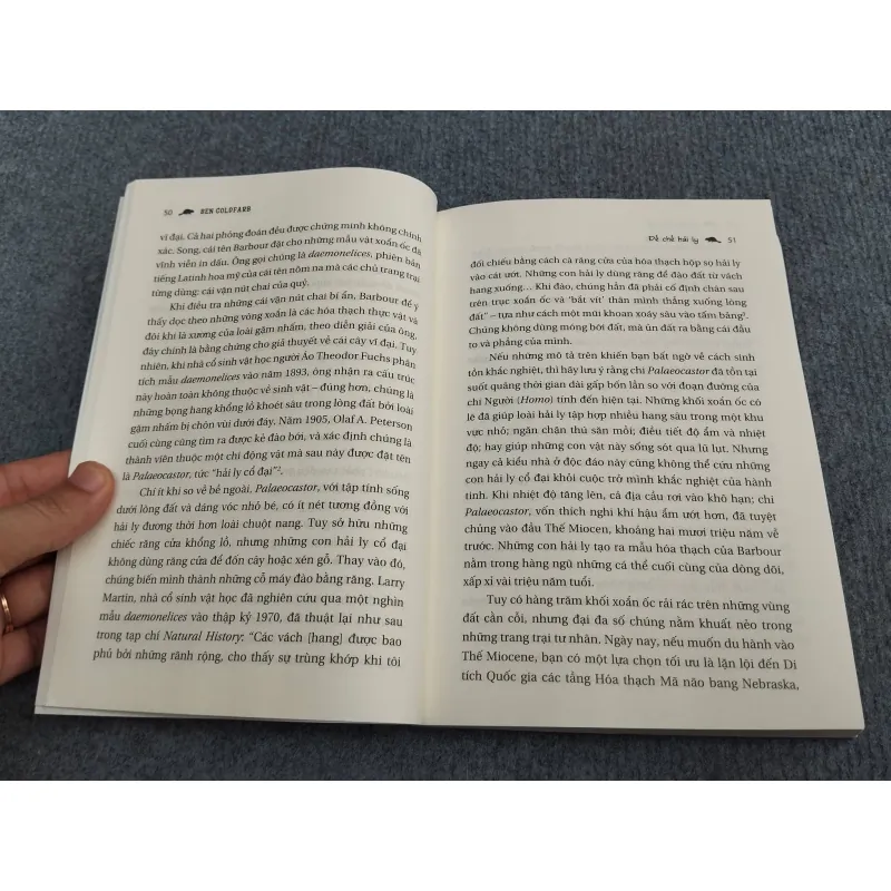 ĐẾ CHẾ HẢI LY 990661