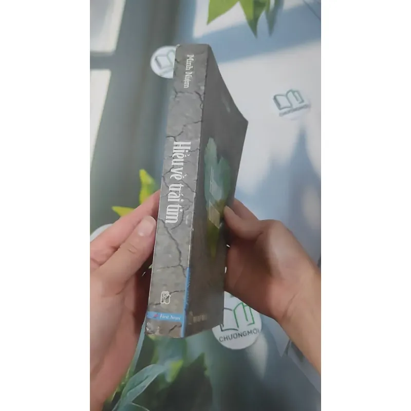 Hiểu Về Trái Tim - Minh Niệm 961239