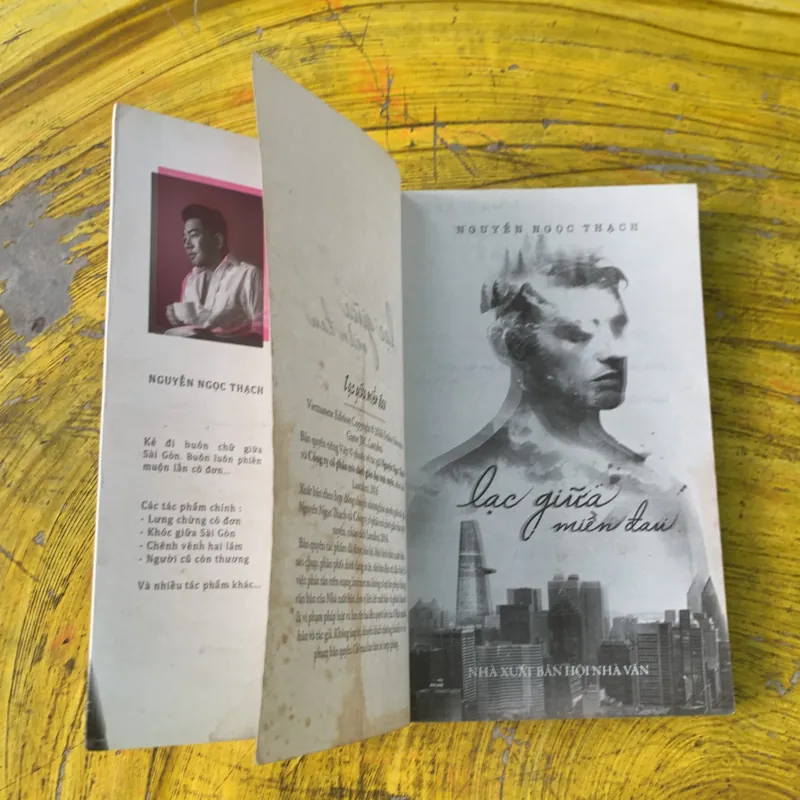 LẠC GIỮA MIỀN ĐAU - NGUYỄN NGỌC THẠCH 746807
