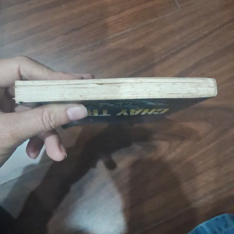 Chạy trốn - James hadley chase 746475