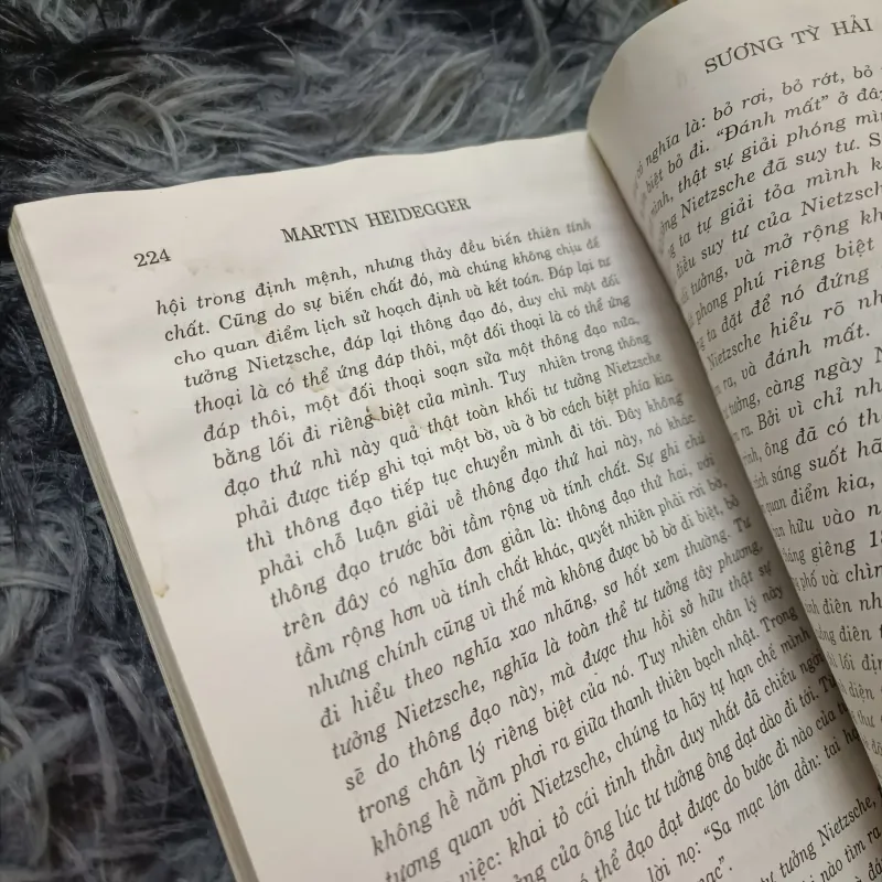 Sương tỳ hải (Bùi Giáng) 778957