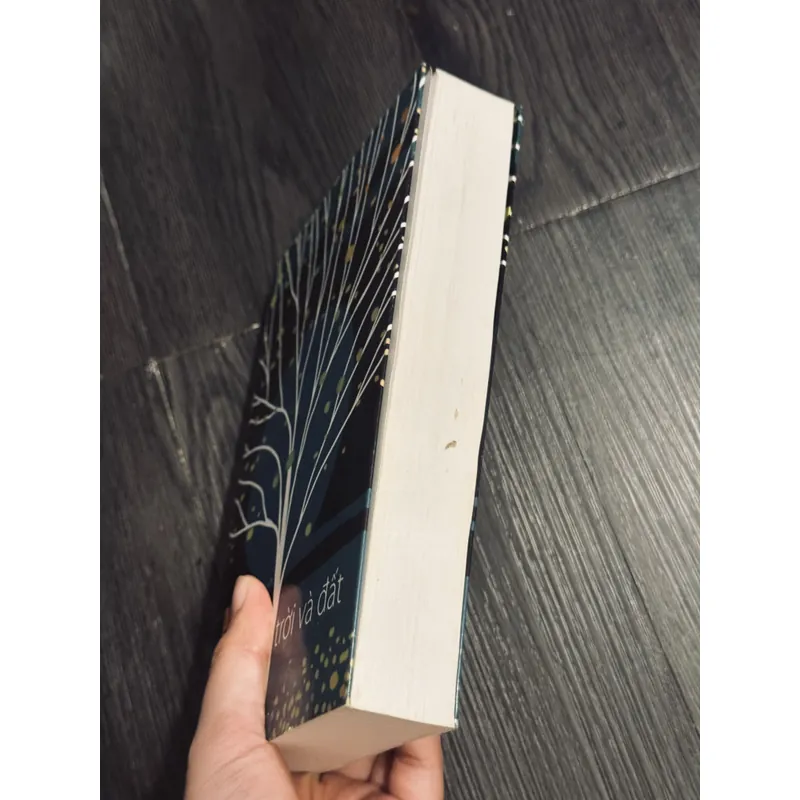 Bốn mùa trời và đất 605448