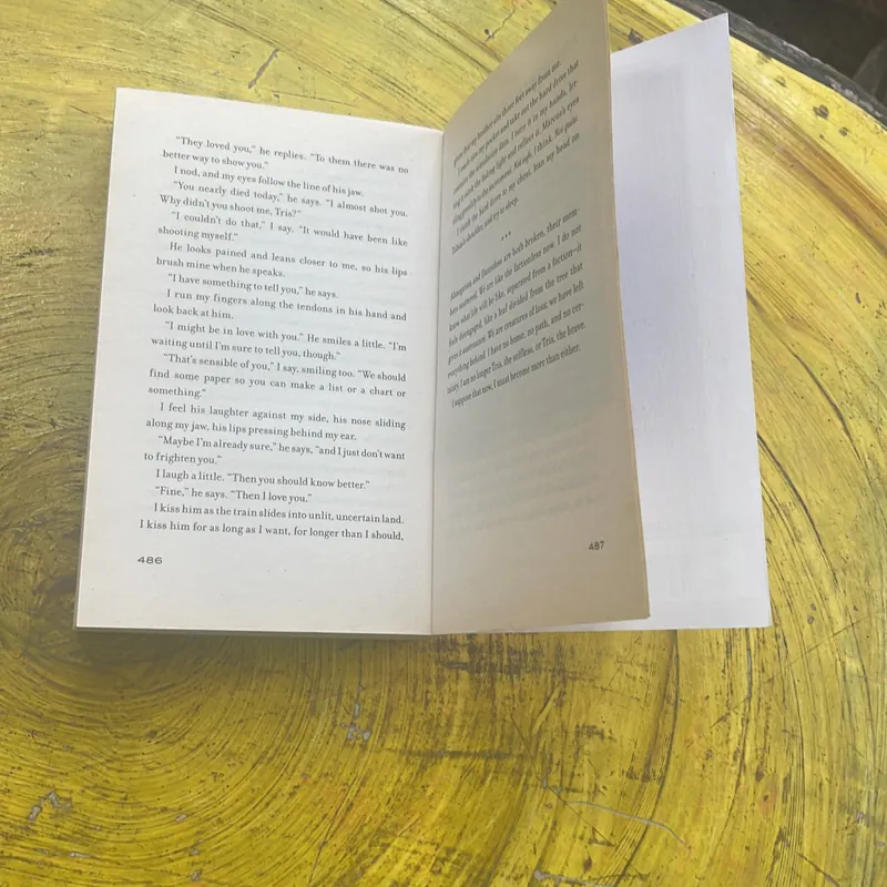 ONE CHOICE CAN TRANSFORM YOU- DIVERGENT- VERONICA ROTH 594509