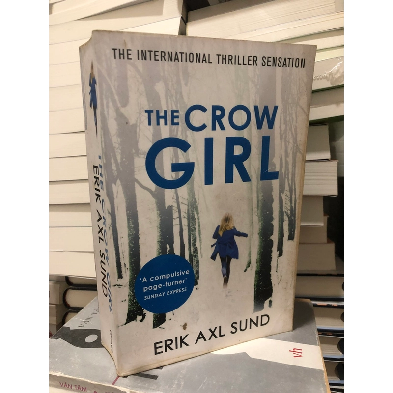 The Crow Girl (Cô gái quạ) - Erik Axl Sund 386110