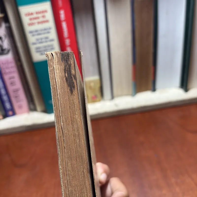 II Sách Phật Giáo: Luận Đại Trí Độ (Tập 1) - Bồ Tát Long Thọ 799859