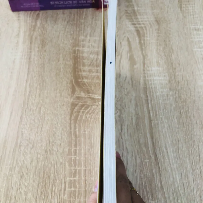 HOÀNG TỬ BÉ  2013 1006325