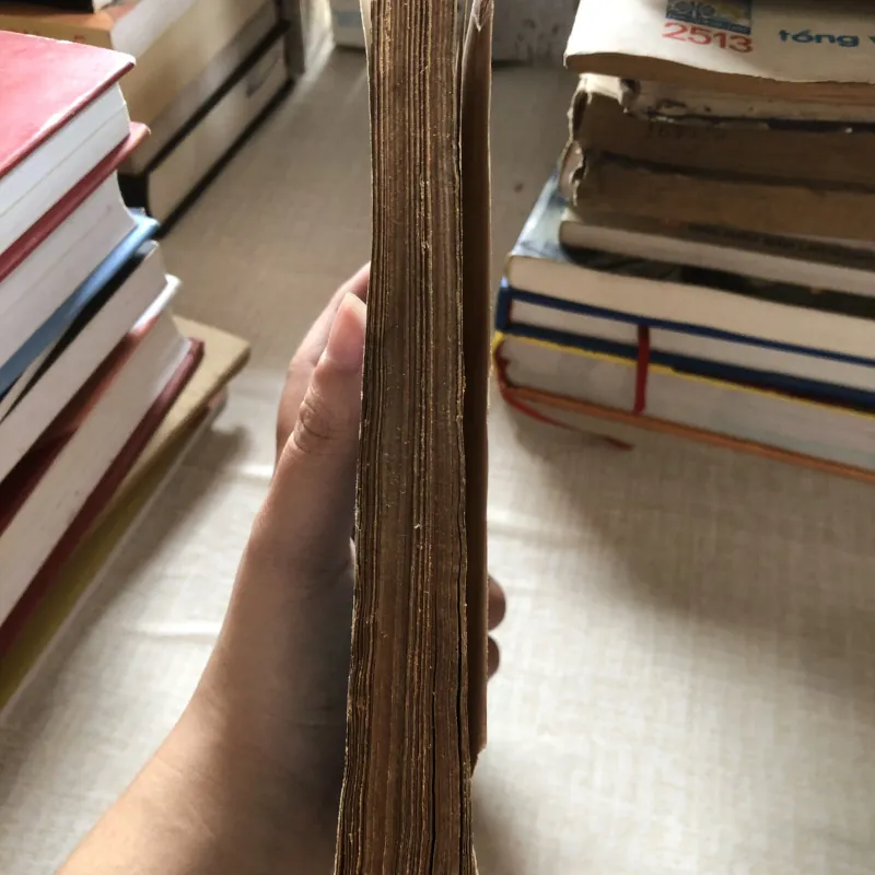 Văn học các dân tộc thiểu số Việt Nam 975886