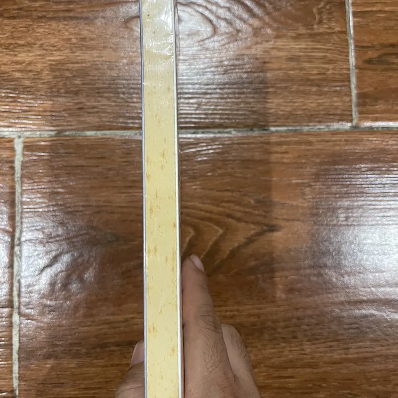 Và khi tro bụi - Đoàn Minh Phụng (15) 570547