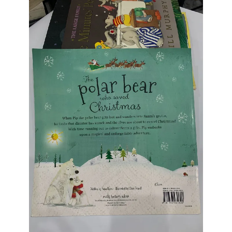 The Polar Bear Who Saved Christmas – Fiona Boon 559689