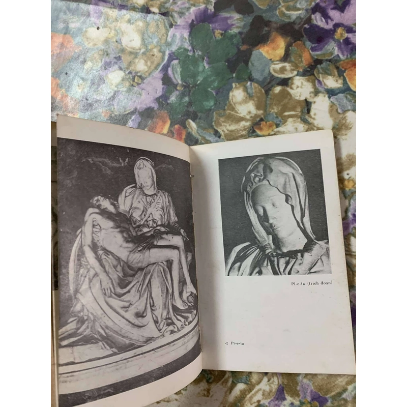 Mi-ken-lan-giê-lô (Michelangelo) 543696