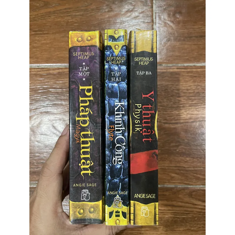 Pháp Thuật - Kinh Công - Y Thuật  Septimus Heap - Angie Sage - 3 tập (5) 621084