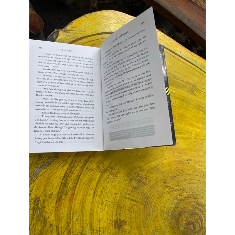 CÁI CHẾT TRẦN TRỤI- J.D. ROBB 538801