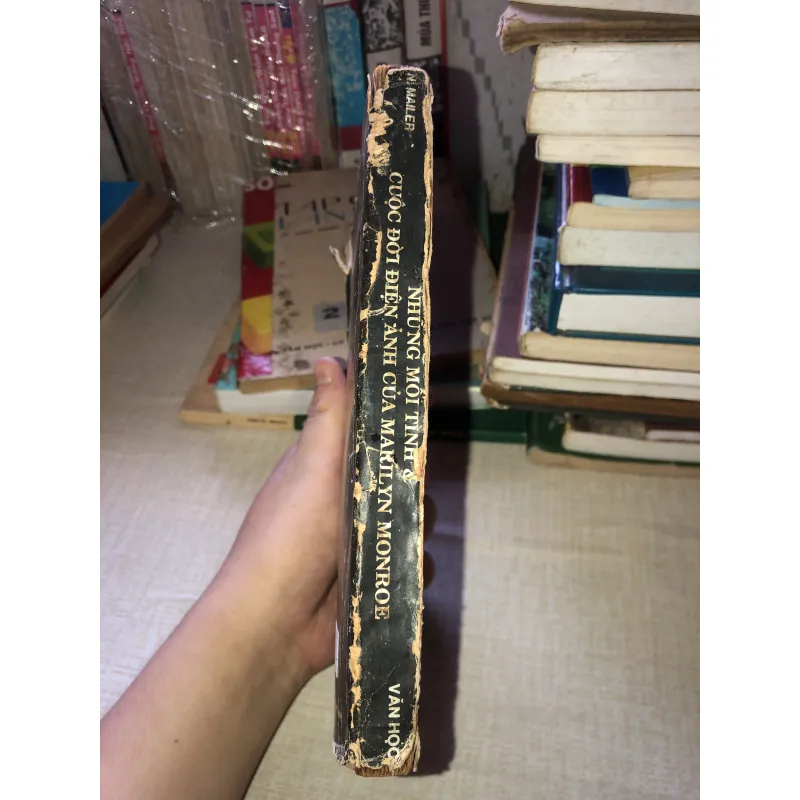 Nhung mối tình và cuộc đời điện ảnh của marilyn Monroe 970495