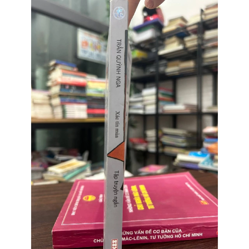 Xác Tín Mùa - Trần Quỳnh Nga - Trần Quỳnh Nga 961052