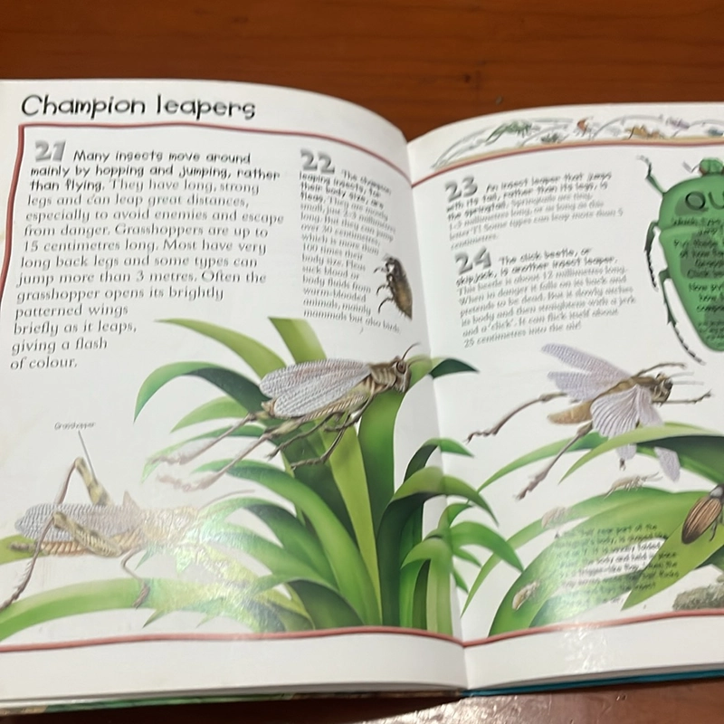 PICTURE BOOK 100 things you should know about insects & spiders 534178