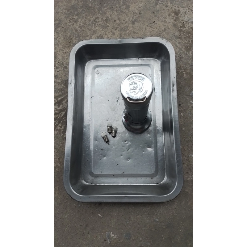 Đèn Pin TQ . Pan Da . China ngày xưa ít sd nên còn đẹp Tặng kèm 3 bóng oong bun 3v ... 443826