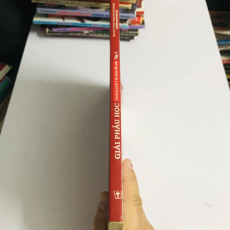 GIẢI PHẪU HỌC  - sách khổ to,  568273