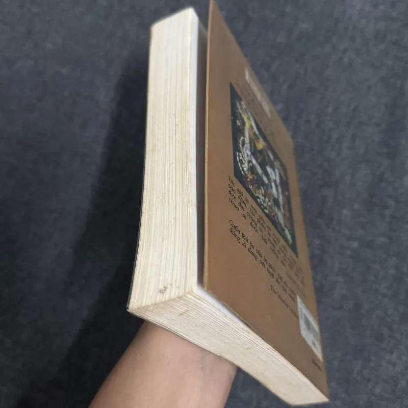 Một mùa hè vắng bóng chim - Han Suyin 1009717