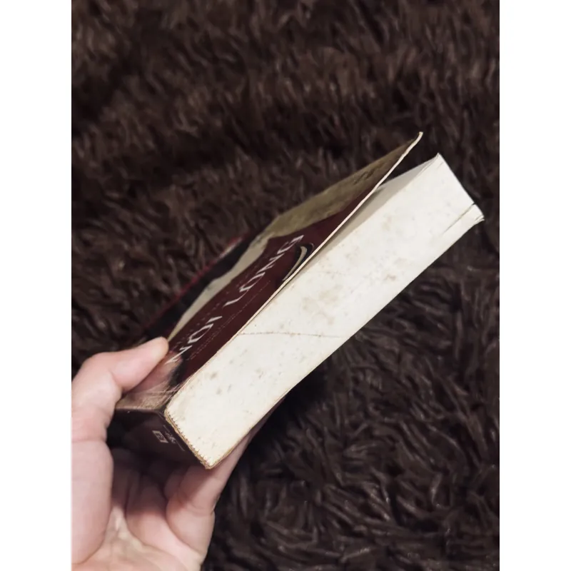 Nỗi lòng - Natsume Soseki 996374